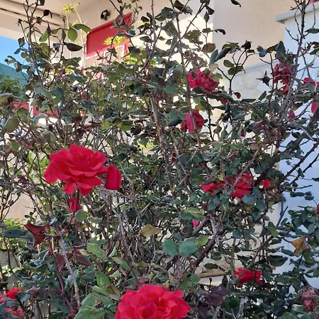 L'oasi Di Sabrina *
